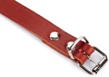 Alternative view of Deri Evcil Hayvan Boyun Tasması, 57 cm, Kırmızı