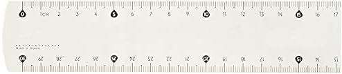 146109 30 cm TRIPLE DESİMETRE PLASTİK CETVEL