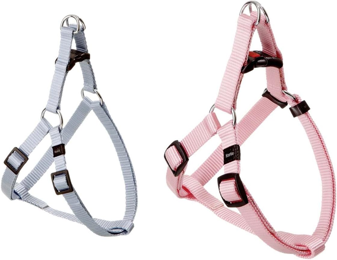 - ART SPORTIV PLUS Sofra Takımı &Go - Turuncu 10 mm 20-35 cm