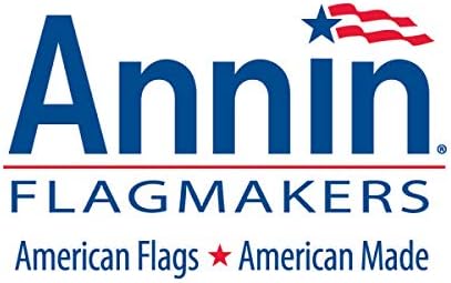 Annin Flagmakers Model 96200 İsrail 4x6ft Naylon Boyalı Tasarım Bayrak,%100 ABD'de Üretilmiştir