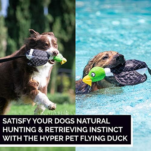 Alternative view of Hyper Pet Uçan Ördek Sapan Mekanizmalı Köpek Oyuncağı (Large) – Fırlat & Getir – Suda Yüzer