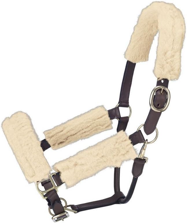 Alternative view of Tough 1 Yular polar set