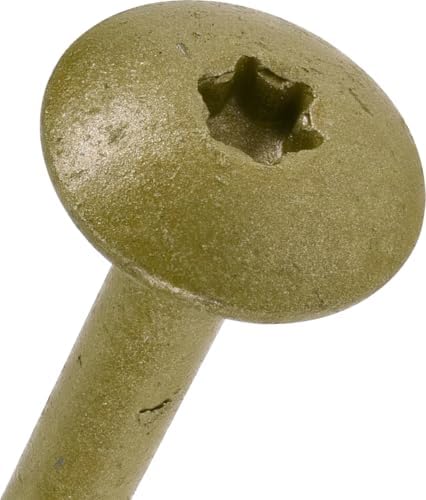 Power Pro 47870 Lag Vidaları, 5/16 "x 3-1/2", Star Drive İnşaat Gecikme Vidaları, Paslanmaya Dayanıklı, Seramik Kaplı Bronz, 1 lb Kutu, 25 adet
