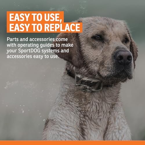 SportDOG Aksesuarlar Probes Short