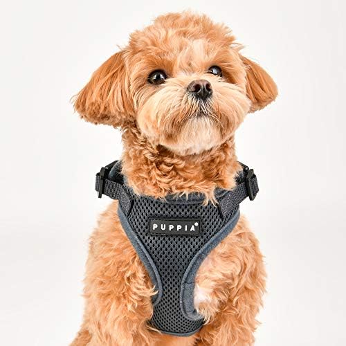 Ayarlanabilir Boyunlu Otantik Puppia RiteFit Koşum, Siyah, Large