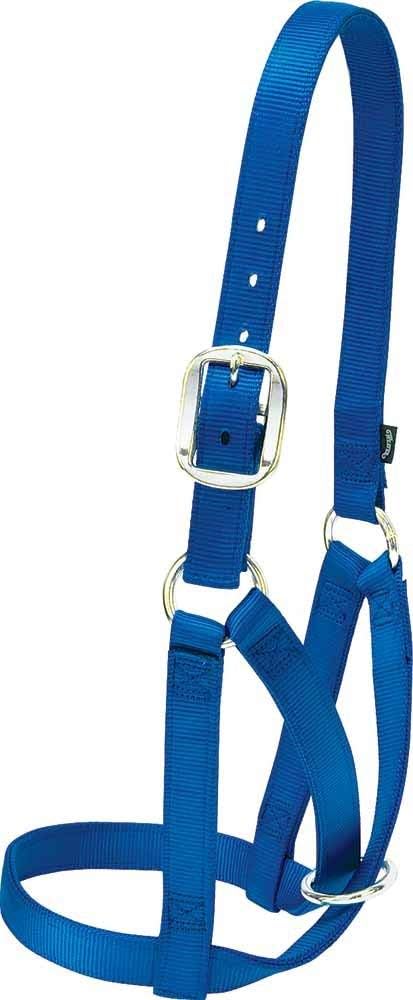 Alternative view of Livestock Cow Barn Halter, Mavi, Medium