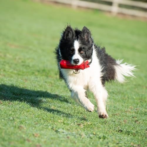 Clix Trainings-Dummy, Canvas