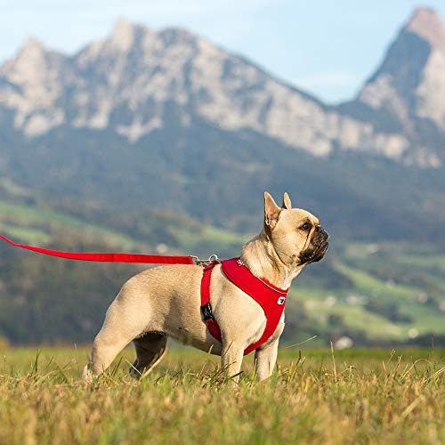 Basic Harness Air-Mesh Red S