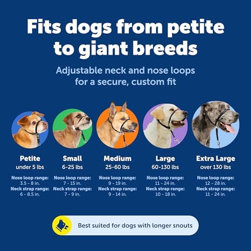PetSafe Yumuşak Kılavuz Boyun Bandı Antrenman DVD'li