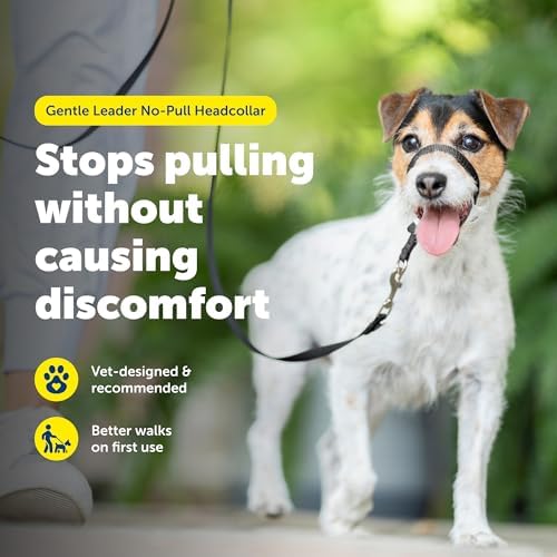 Alternative view of PetSafe Yumuşak Kılavuz Boyun Bandı Antrenman DVD'li