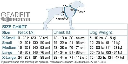 Kurgo Tru-Fit akıllı köpek tasması, dolgulu göğüs kısmı ve D halkalı, araç emniyet kemeri dahil, XS beden, siyah