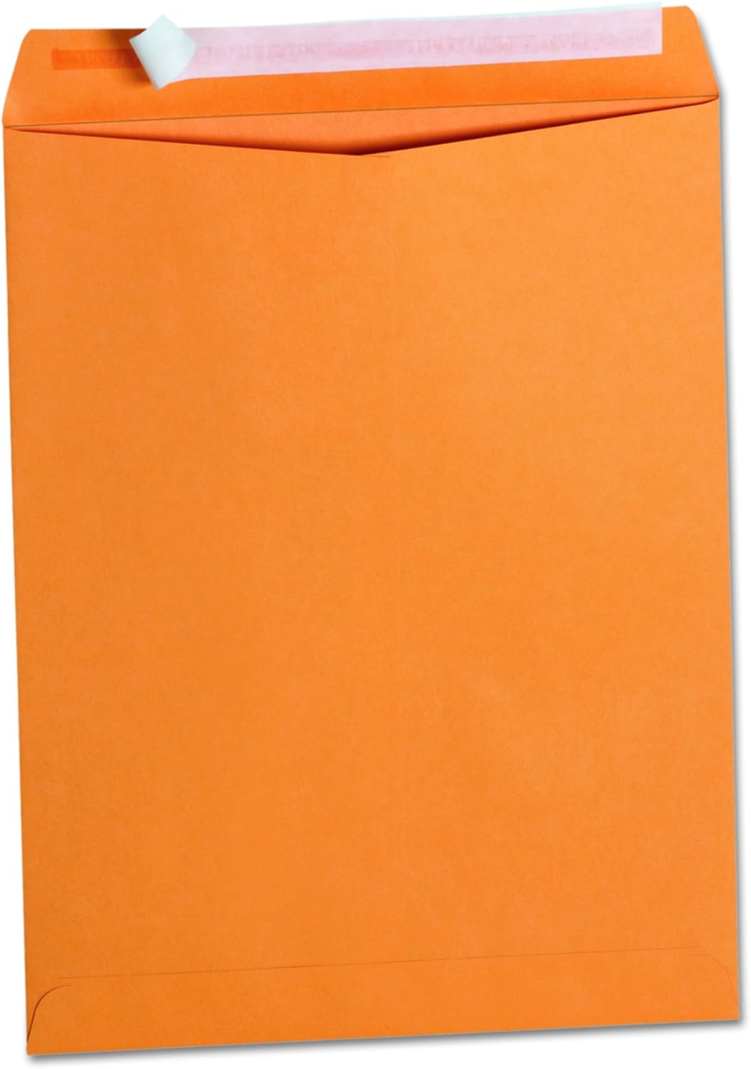 Alternative view of Pull & SEAL Katalog zarf, 10 x 13, güç, 100/box, sold AS 1 Box