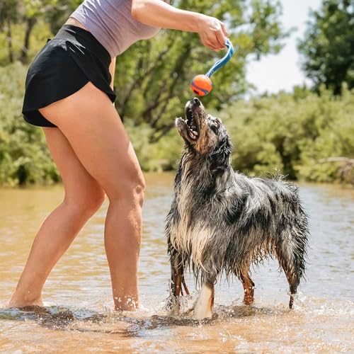 Chuckit! Ultra Duo Tug 2'li Köpek Çekiştirme Topu (Orta Boy)