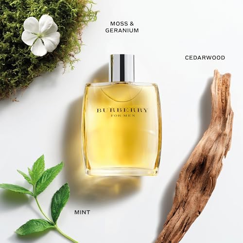 Burberry EDT 100 ml Erkek Parfüm