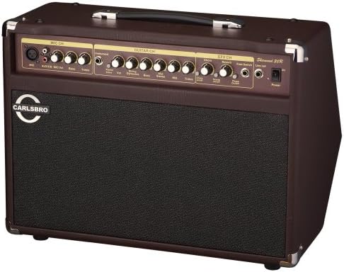 Sherwood30R 30 Watt Akustik Amfi (Reverb)