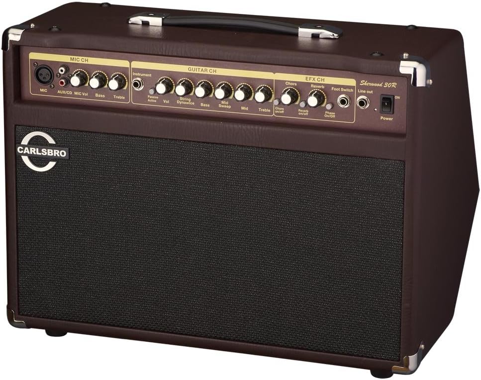 Alternative view of Sherwood30R 30 Watt Akustik Amfi (Reverb)
