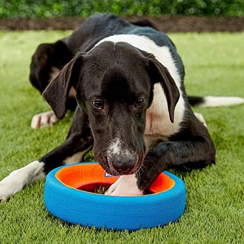 Alternative view of Chuckit! Fetch Wheel Köpek Oyun Halkası (Küçük Boy)