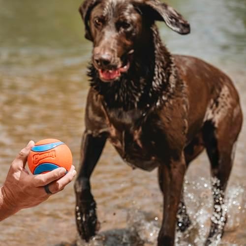 Chuckit! Ultra Ball (XXLarge) - Süper Zıplama ve Suda Yüzme Özelliklerine Sahip, Dayanıklı ve Uzun Ömürlü Doğal Kauçuk Köpek Topu