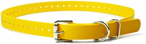 Biothane Köpek Tasması, Su Geçirmez, Kokusuz, Metal Toka ve D Yüzük, Özel Uyum için Ayarlanabilir, Havalı ve Rahat, Küçük, Orta veya Büyük Köpekler için, 7,7 cm, Sarı