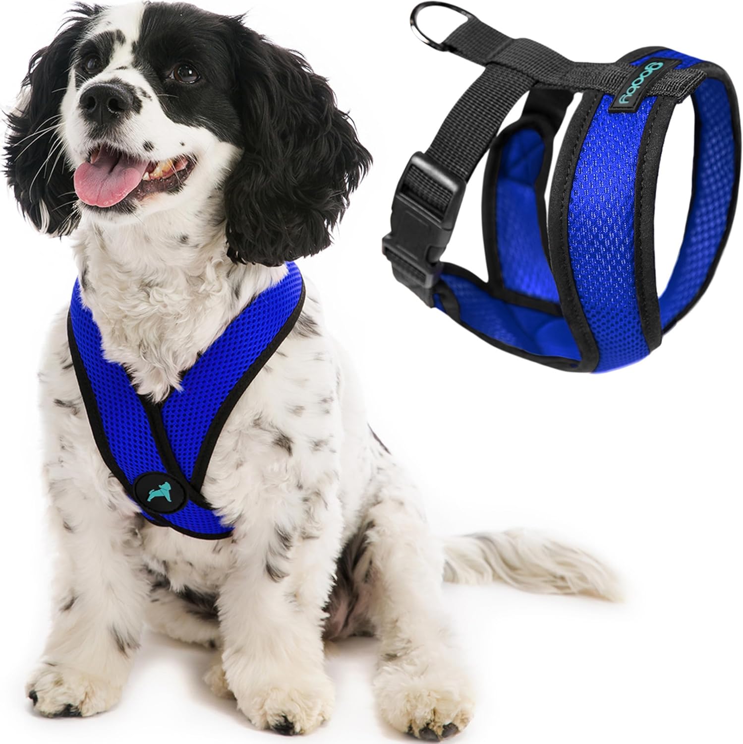 Gooby - X Kafa Takımı, boğulmaz, küçük köpek tasması, mikro süet süslemeli ve patentli X çerçeveli, mavi, beden M