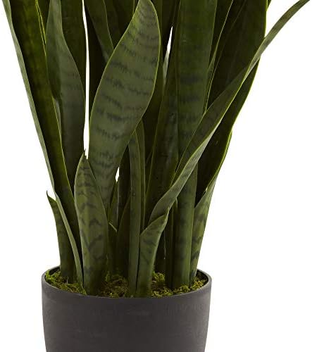 Alternative view of Natural, Green 4855 Sansevieria bitki saksısı, 88,9 cm, siyah