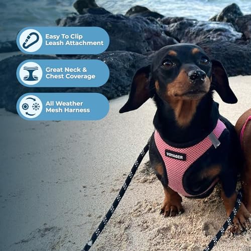 Alternative view of Voyager -In Air Köpek Koşum Takımı - Pet Supplies Tarafından Küçük ve Orta Ölçekli Köpekler İçin Yeleğe Tüm Hava Mesh Adım Koşum Takımı - Pembe Tabanlı, S