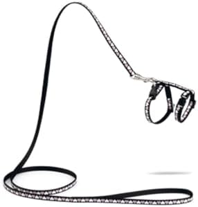 Yavru Kedi Göğüs Tasması ve Gezdirme Kayışı 120cm, Siyah, 16-25cm Boyun, 23-36cm Göğüs
