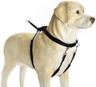 Alternative view of Köpek Yürüyüş Eğitim ve Düzeltme Tasması, L