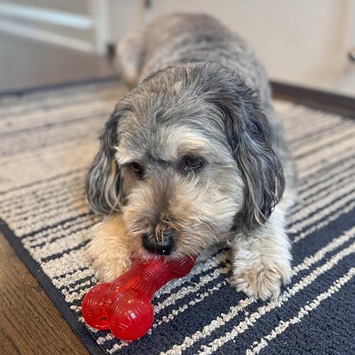 Alternative view of Etik Ürünlere Göre SPOT Play Strong Bones Chew Oyuncakları ve Köpekler için Top Oyuncakları - Agresif Çiğneme ve Yavru Köpekler için Harika - Top - Küçük