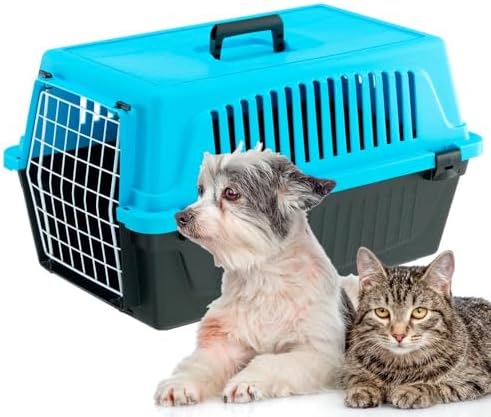 Taşıma kutusu kedi, köpek taşıma kutusu, 8 kg'a kadar küçük köpek ve kediler, kapı plastik demir, havalandırma delikleri, 37 x 58 x Y 32 cm, sert kabuklu taşıma kabı 20 EL, açık mavi