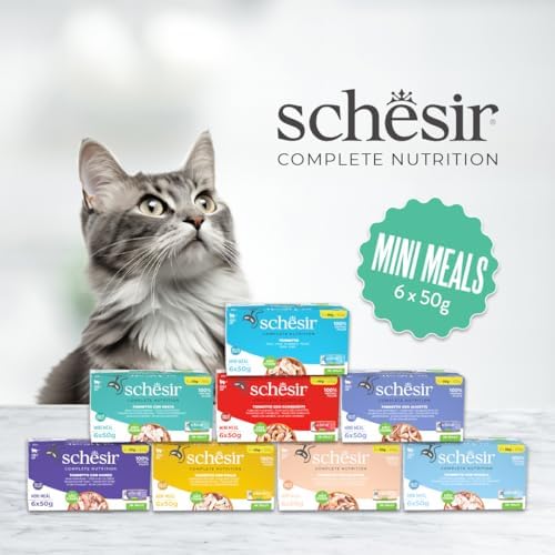 Schesir Yetişkin Kedi Konservesi Somonlu 50 g x 6 Adet