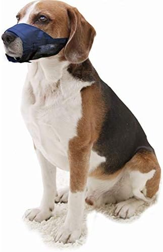 Alternative view of Pawise Bez Köpek Ağızlığı No:2 S