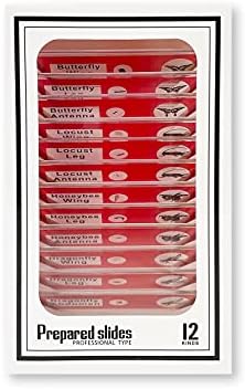 Alternative view of MicroFlip 100 x 250 x LED ve UV ışıklı cep mikroskopu, aşağı açılan kaydırma tabanı ve akıllı telefon diskopu klipsi, 24 hazır böcek ve hayvan slaytıyla birlikte gelir (MP-250BUN)
