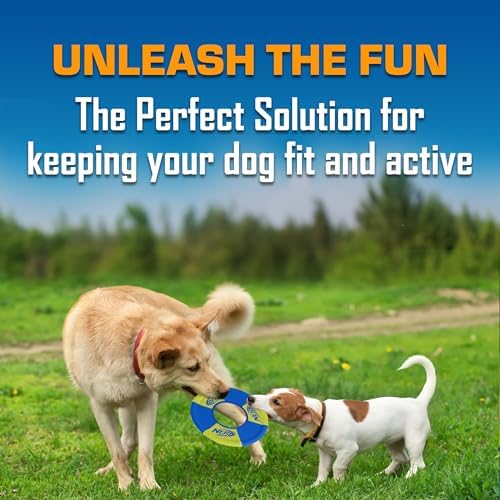Alternative view of Nerf Dog Toss and Tug Ring Köpek Oyuncağı, Frizbi, Hafif, Dayanıklı ve Suya Dayanıklı, 22 cm Çap, Orta/Büyük Irklar İçin, İki Paket, Yeşil ve Turuncu