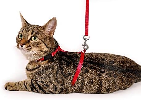 Göğüs Tasma+Uzatma, Kedi, 110 cm, Kırmızı