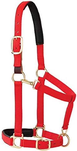 Alternative view of Yastıklı Ayrılabilir Ayarlanabilir Çene ve Boğaz Çıtçıtlı Halter, 2,54 cm Ortalama At veya Yıllık Taslak, Kırmızı