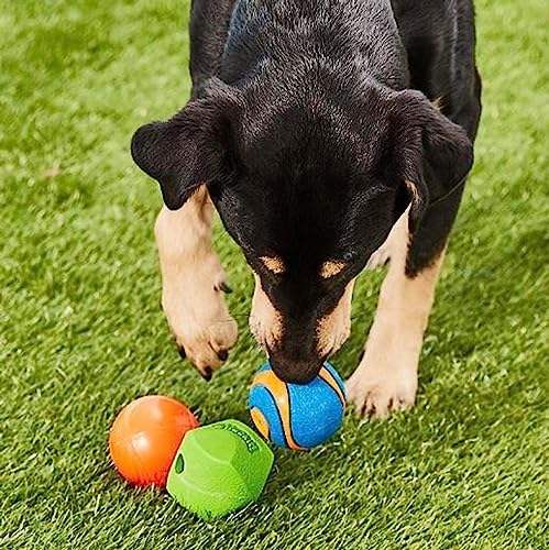 Alternative view of Chuckit! Fetch Medley 3'lü Köpek Oyun Topu Seti – Strato Ball, Ultra Squeaker ve Erratic Ball - (M)
