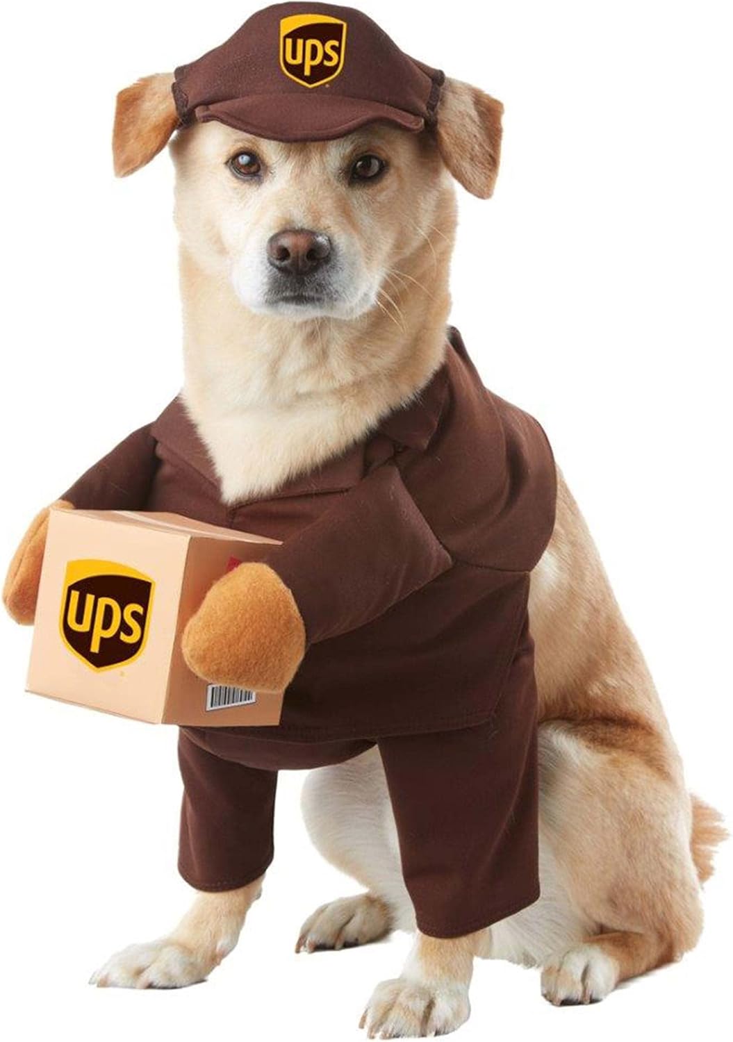 California Costumes UPS Köpek Kostümü Large