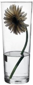 43177 – Cam vazo Flora, zarif, yüksek, zamansız, yükseklik 26 cm