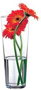 Alternative view of 43177 – Cam vazo Flora, zarif, yüksek, zamansız, yükseklik 26 cm