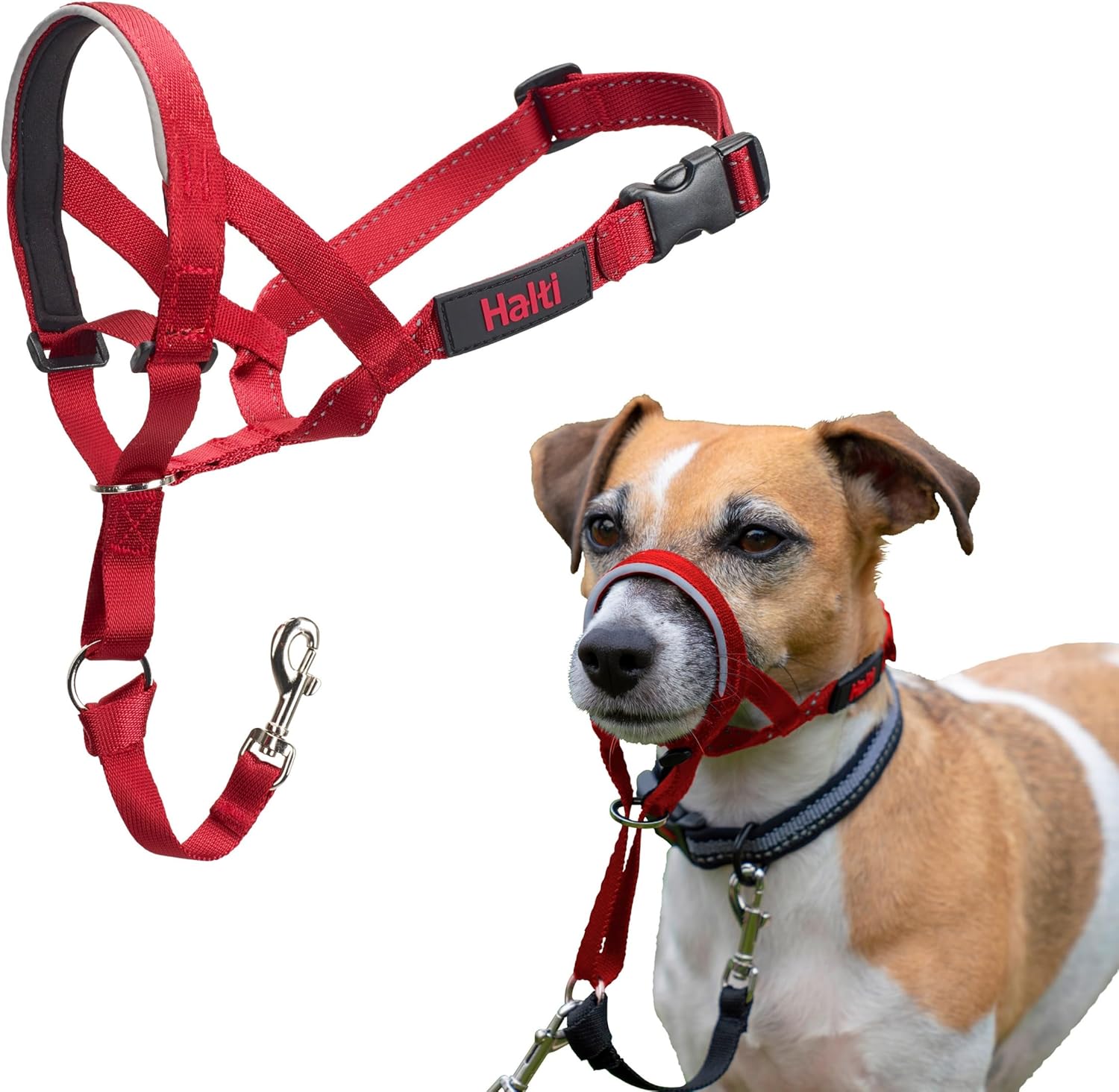 Alternative view of of Animals Halti Baş Tasması - Dolgulu Burun Bandı, Ayarlanabilir ve Yansıtıcı, Küçük Köpekler İçin Profesyonel Çekme Önleyici Eğitim Yardımcısı (Boyut 1, Kırmızı)