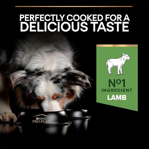 Pro Plan Medium Adult Kuzu Etli Köpek Maması 14 kg
