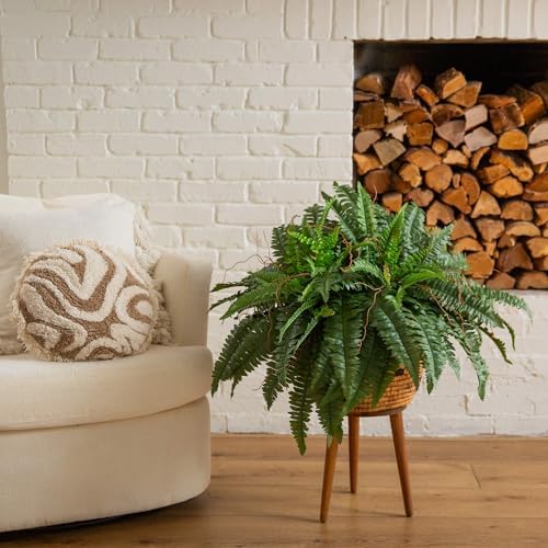 Natural 40 inç Eğrelti Otu (2'li Set), Yeşil