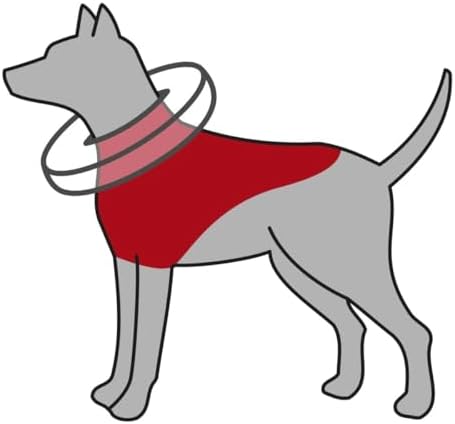 Köpek Koruyucu Şişme Yakalık Xs, Mavi