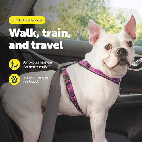 PetSafe 3'ü 1 arada köpek koşum takımı, çekmez, araba kemeri için köpek koşum takımı, köpek koşum takımı, köpek koşum takımı, reflektörler, bulaşık sapı, S beden, siyah, mavi, mor