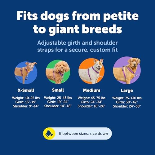 Alternative view of PetSafe 3'ü 1 arada köpek koşum takımı, çekmez, araba kemeri için köpek koşum takımı, köpek koşum takımı, köpek koşum takımı, reflektörler, bulaşık sapı, S beden, siyah, mavi, mor