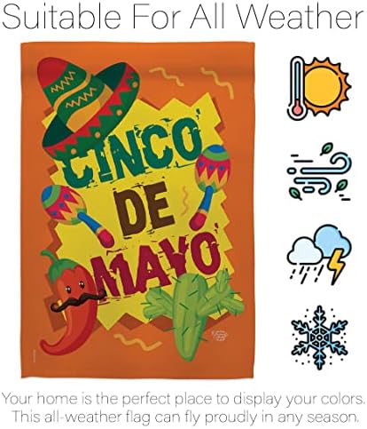 Cinco de Mayo Ev Bayrağı - Yaz Meksika Fiesta Parti Kaktüs PinataAçık Hava Yaz Güneşli - Dekorasyon Afişi Küçük Bahçe Avlu Hediyesi Çift Taraflı ABD'de Üretilmiştir 28 X 40