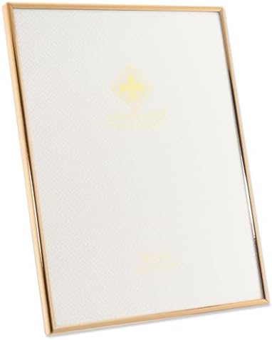 Frames Simply 670080 metal resim çerçevesi, 20,3 x 25,4 cm, altın rengi
