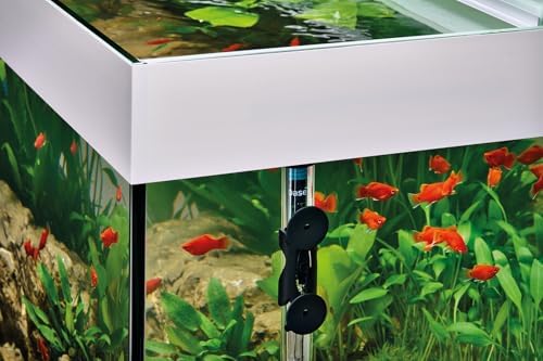 Alternative view of Oase Heatup 300 Akvaryum Isıtıcısı 300W
