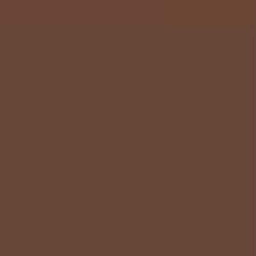 MODELS Dark Tan FS 30219 MIOMMP060 Plastik Boya Akrilik